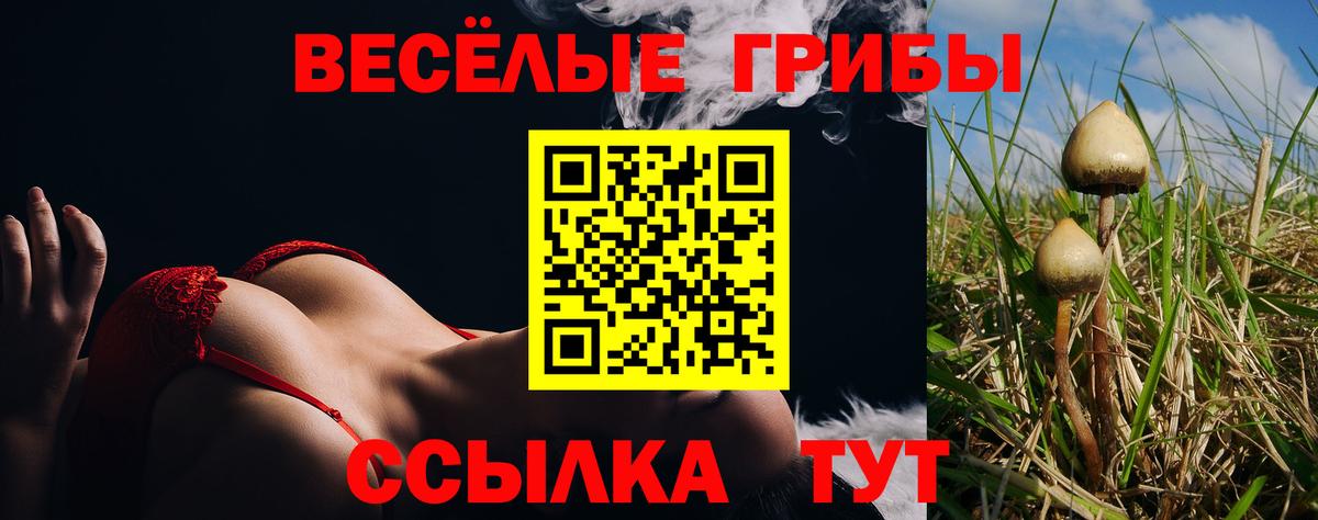 Галлюциногенные грибы мицелий  Псилоцибиновые грибы ЛСД  Вход с VPN  Зеленодольск 